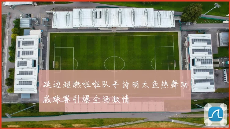 延边超燃啦啦队手持明太鱼热舞助威球赛引爆全场激情